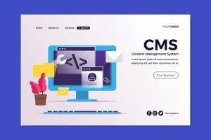Understanding Why WordPress is Frontend Function